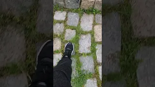 Random Asmr Walking up a beautiful stone Walkway trigger sounds #asmr #shorts