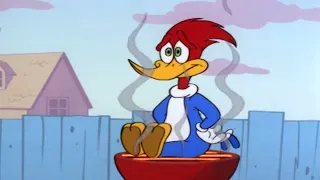 Ya Gonna Eat That? | Woody Woodpecker | Cartoons for Kids | WildBrain Bananas