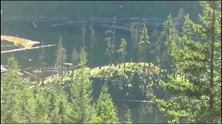 Bigfoot filmed near Mission, British Columbia ENHANCED VERSION Bigfoot Sasquatch