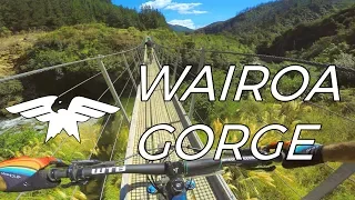 A Billionaire Built These Trails - Wairoa Gorge Bike Park - Nelson, New Zealand