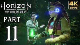 HORIZON II Forbidden West Walkthrough PART 11 (PS5) Gameplay No Commentary @ 4K 60ᶠᵖˢ ✔