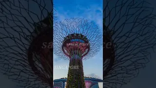 SINGAPORE 8k 4k Video Ultra HD (60FPS)