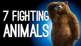 7 Animals Who Snuck Into Human Fighting Tournaments