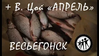 Последний лед... И все же хороший был день !