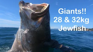 Giants!! 28 and 32kg Jewfish Spearfishing