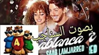 اغنية سعد المجرد الجديدة بصوت السناجب مدهشة ستندم المتسمعها