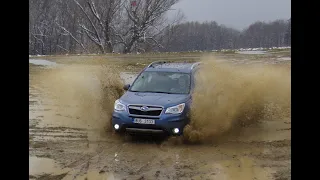 Off-Road Hyundai Santa Fe vs Subaru Forester