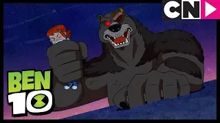 El Oso Ataca a Gwen | Desastre en Mascota | Ben 10 en Español Latino | Cartoon Network