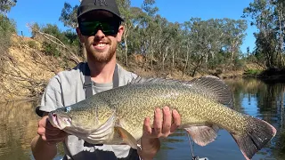 Murray Cod Fishing | Hunting The Metery: EP2