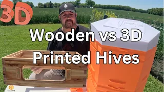 Wooden Hive vs 3D Printed Hex Hives, You Decide ! !