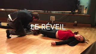 revue du barreau de marseille 2018 l'hypnotiseur