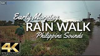 EARLY MORNING RAIN WALK - Real Philippine Sounds [4K]