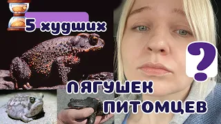 5 САМЫХ ХУДШИХ лягушек-питомцев. Не заводите их!