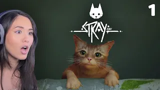 My First Playthrough of STRAY | Part 1