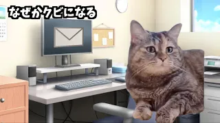 YouTuber専門スクール講師の日常【猫ミーム】