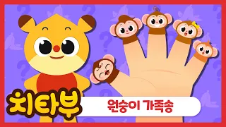 [ENG sub]🐵🍌원숭이 가족송(Monkey Family Song)🍌🐵 | 손가락 가족 | 가족 동요 | 인기 동요 | Nursery rhymes | #치타부