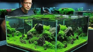 The Green Aqua Showroom (2018 cinematic edition)