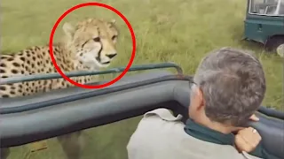 12 Times African Safari Trips Went Horribly Wrong