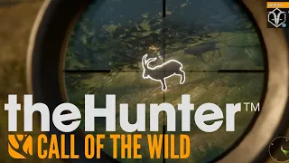 The Hunter | Call of the Wild | Cuatro Colinas Hunt | Tag Team Hunting part 1