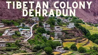 Dekyiling Dehradun - Tibet Colony in dehradun