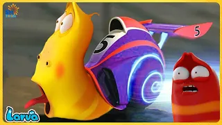 LARVA TUBA 2025: KING SPEED | CARTOONS TOP 50 EPISODE | MINI SERIES FROM ANIMATION