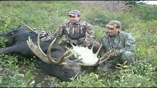 Archery Shiras Moose Hunt With Bob Fromme