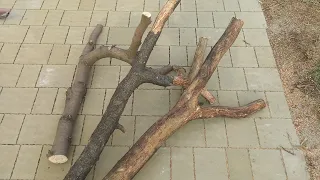 THIS IS NOT FIREWOOD, but material for the MASTERPIECE!