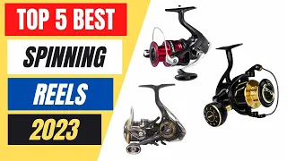 Top 5 Best Spinning Reels in 2023