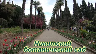 1 мая в Никитский ботанический сад 🌷🌴🌹🌵🌳🌾по дороге ЮБК. Парад тюльпанов. Крым Севастополь 2022