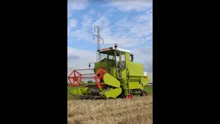 Żniwa 2022 - Jasienica Mexyk - Claas Compact 25