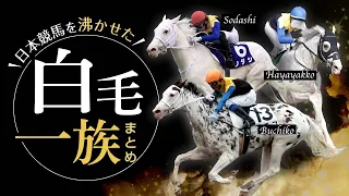 ソダシ…シラユキヒメ…日本競馬を沸かせた白毛一族のレースまとめ！