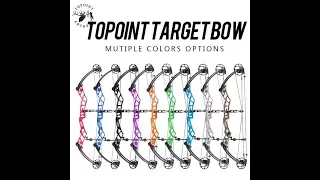 2018 Topoint Serinity target compound review