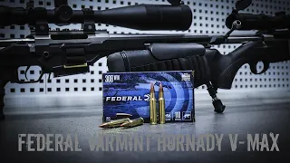 Тест патрона Federal Varmint & Predator с пулей HORNADY V-MAX