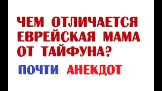 Чем отличается еврейская мама от тайфуна? | Почти анекдот