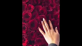 А по щекам моим слёзы это твоя вина 🌹