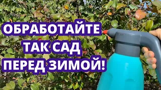 ОБРАБОТАЙТЕ ТАК САД ПЕРЕД ЗИМОЙ! Искореняющая обработка от болезней и вредителей!