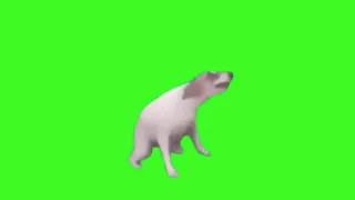Dog Dance Meme!