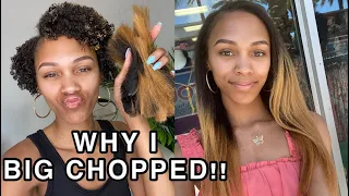 The REAL Reason I Big Chopped My Natural Hair | How I Feel + Reactions