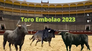 Toro Embolao de Vejer de la Frontera 2023