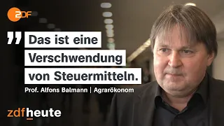 Agrardiesel: Wer von den Subventionen profitiert | Berlin direkt