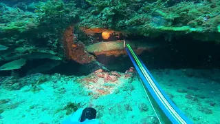 Spearfishing the Wreck of the "Dixie Arrow" off of Ocracoke, NC 7/8/23