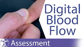 Digital Blood Flow⎟Digital Vascularisation