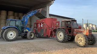 [Milk cows feeding🐄] Fiatagri 110-90 & Supertino Star Mix + New Holland t5060 & Fasano F90