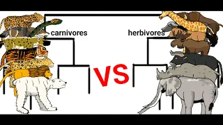 carnivores vs herbivores animation—all animation