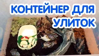 Контейнер для улиток ахатин. Обустройство контейнера