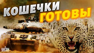 "Кошки" спешат на помощь. Первый Leopard 2 готовится крошить орков