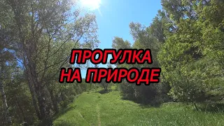 Прогулка на природе