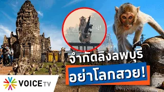 ลพบุรีหรือพิภพวานร? จะแก้ปัญหาลิงยึดเมือง ต้องเด็ดขาด-อย่าโลกสวย!-Talking Thailand