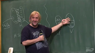 Graphs and Randomness  - Open problems - Bruce Reed