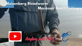 Muizenberg Bloodworm & Macassar Beach Fishing